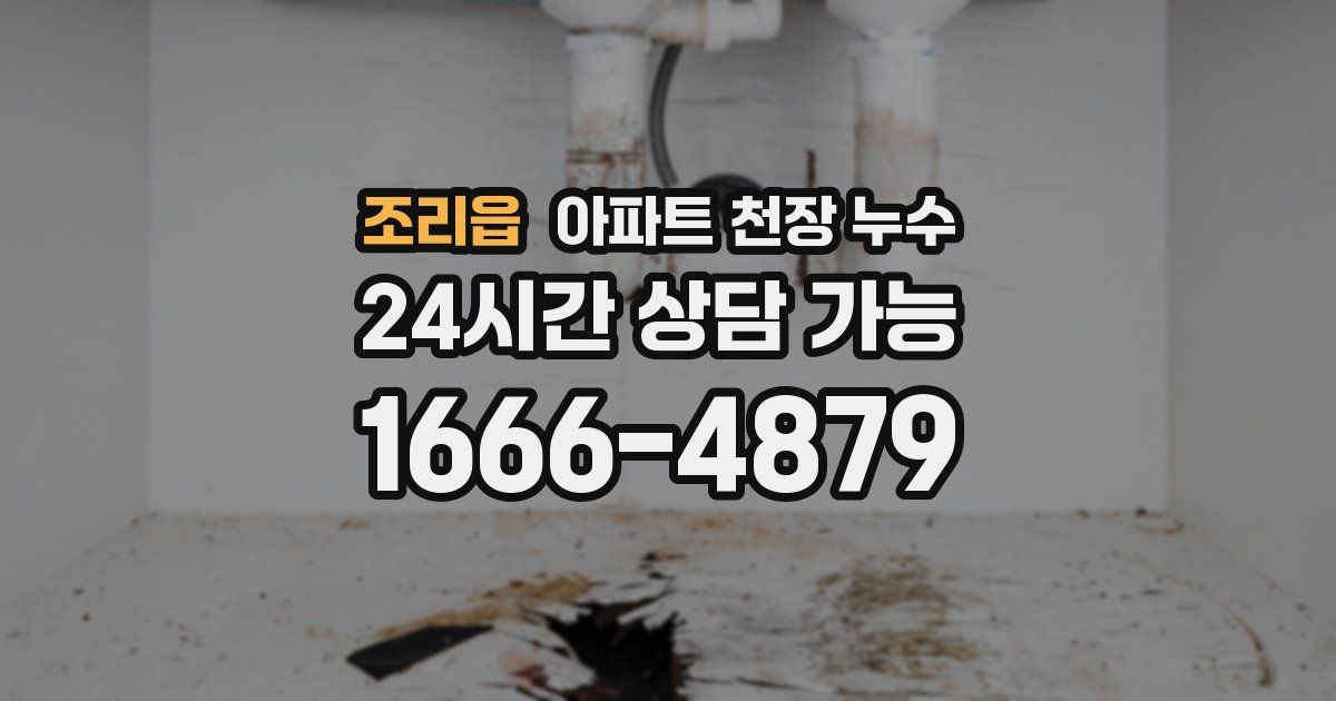 조리읍 아파트 천장 누수