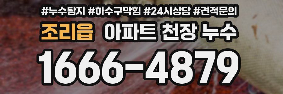 조리읍 아파트 천장 누수