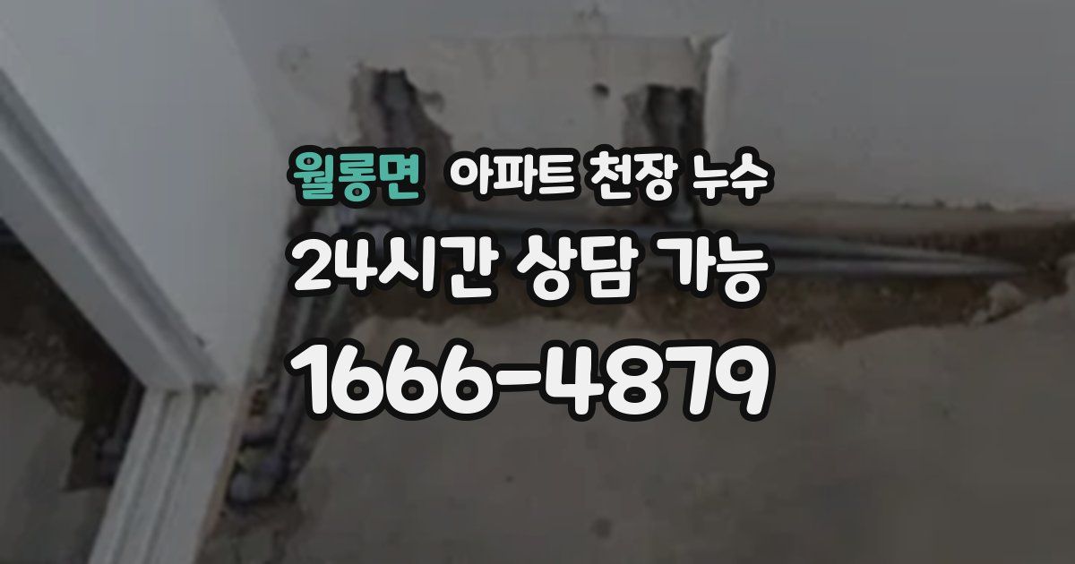 월롱면 아파트 천장 누수