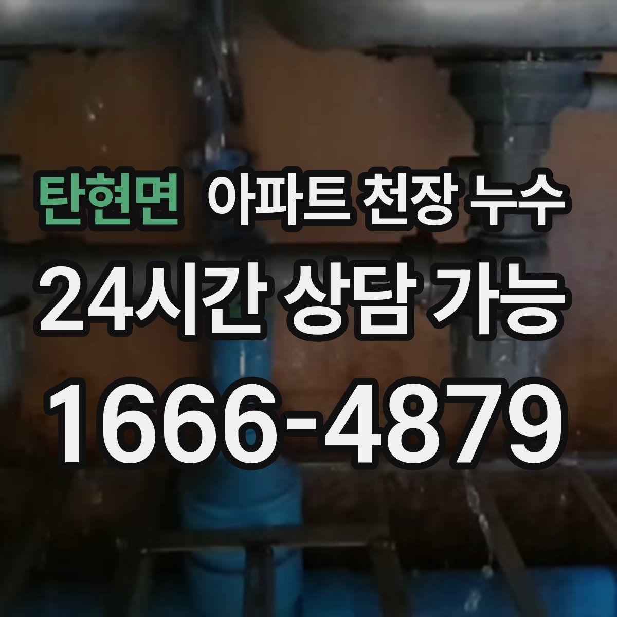 탄현면 아파트 천장 누수