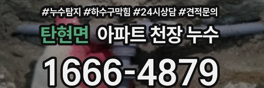 탄현면 아파트 천장 누수