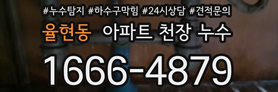 율현동 아파트 천장 누수