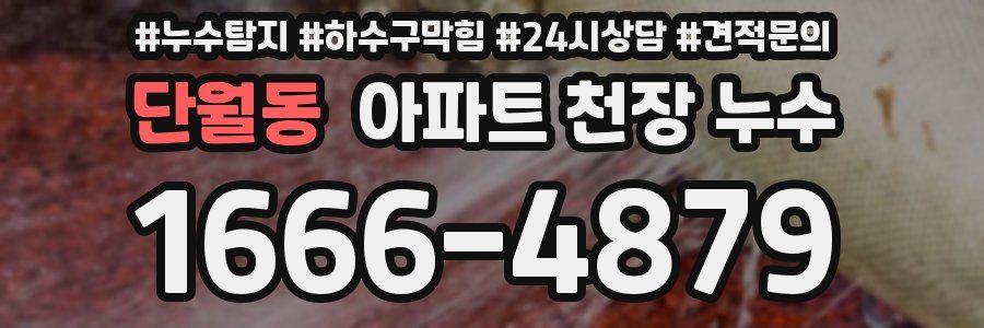 단월동 아파트 천장 누수