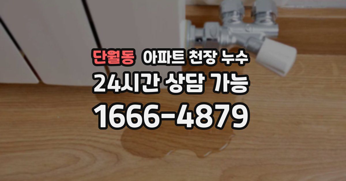 단월동 아파트 천장 누수