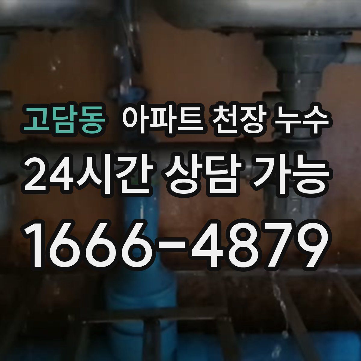 고담동 아파트 천장 누수
