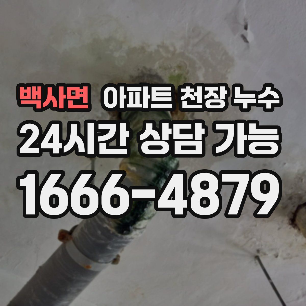 백사면 아파트 천장 누수