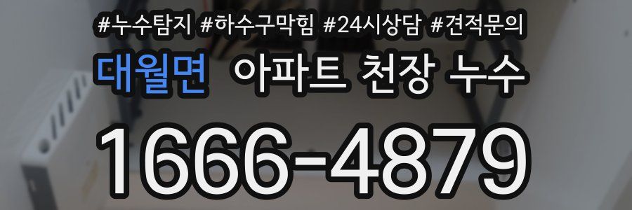 대월면 아파트 천장 누수