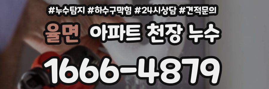 율면 아파트 천장 누수