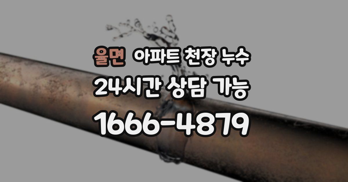 율면 아파트 천장 누수