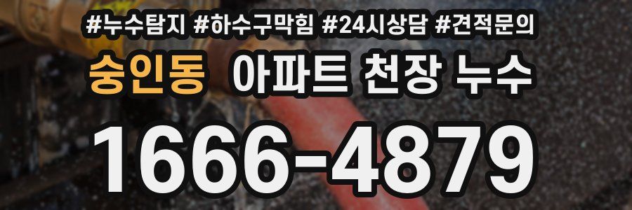 숭인동 아파트 천장 누수
