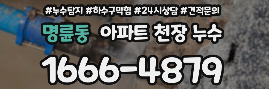 명륜동 아파트 천장 누수
