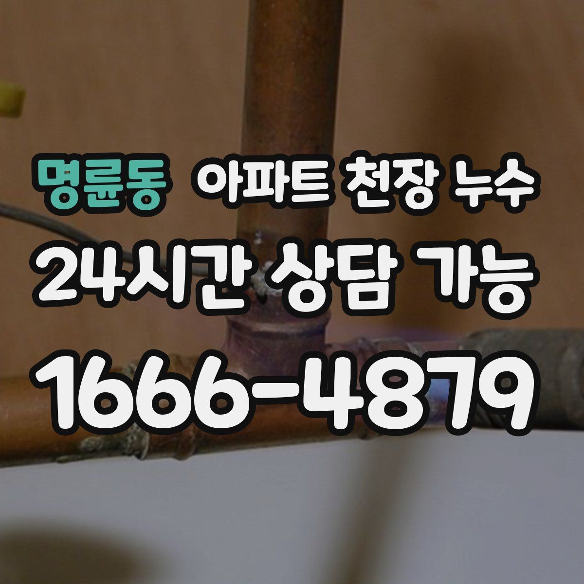 명륜동 아파트 천장 누수