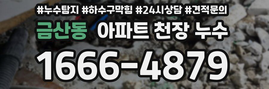 금산동 아파트 천장 누수
