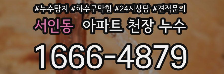 서인동 아파트 천장 누수