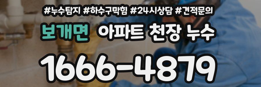 보개면 아파트 천장 누수