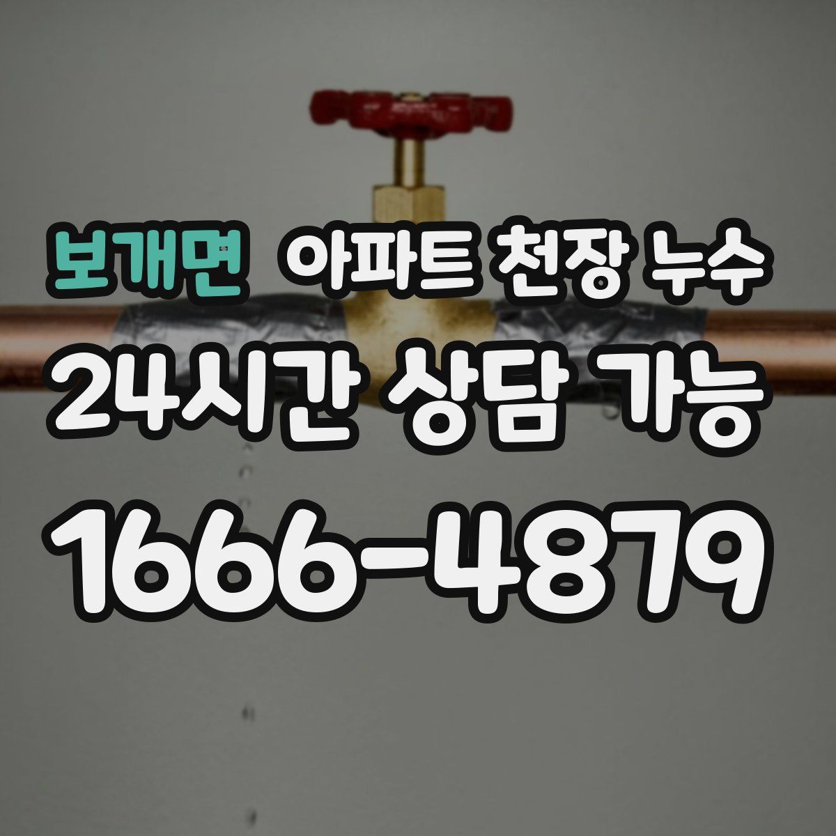 보개면 아파트 천장 누수