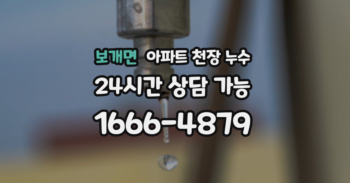 보개면 아파트 천장 누수