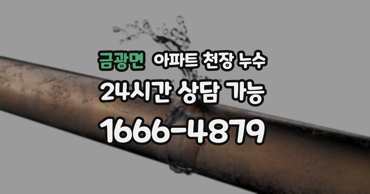 금광면 아파트 천장 누수