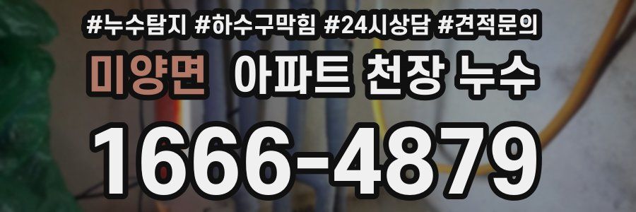 미양면 아파트 천장 누수