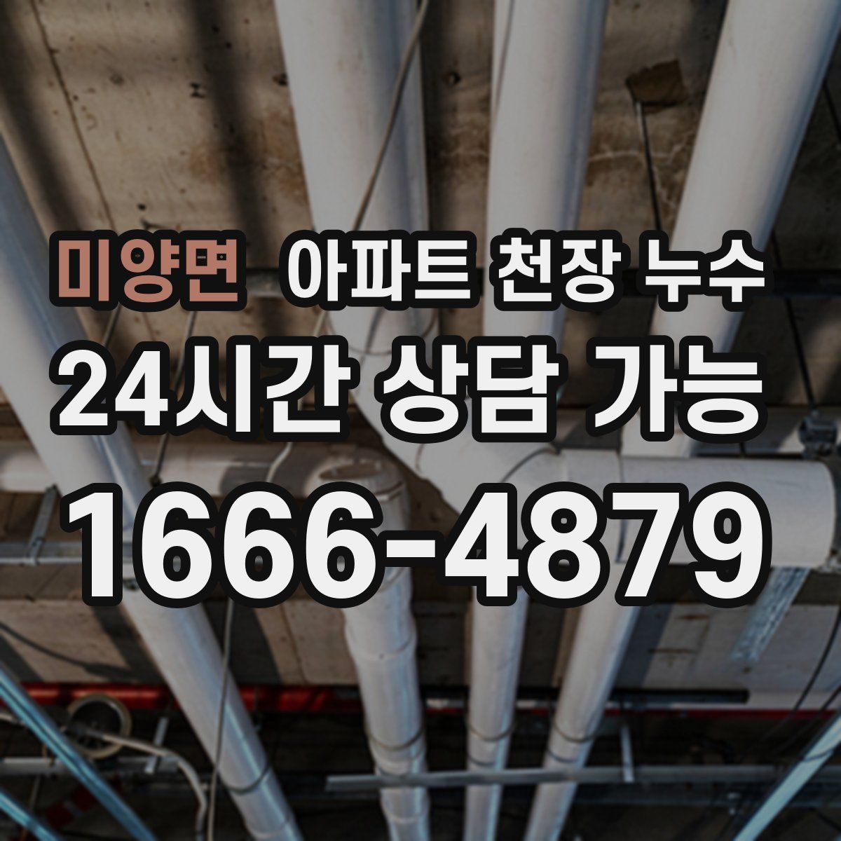 미양면 아파트 천장 누수