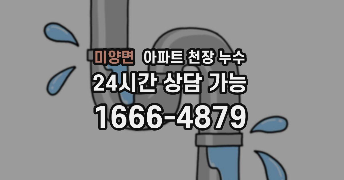 미양면 아파트 천장 누수