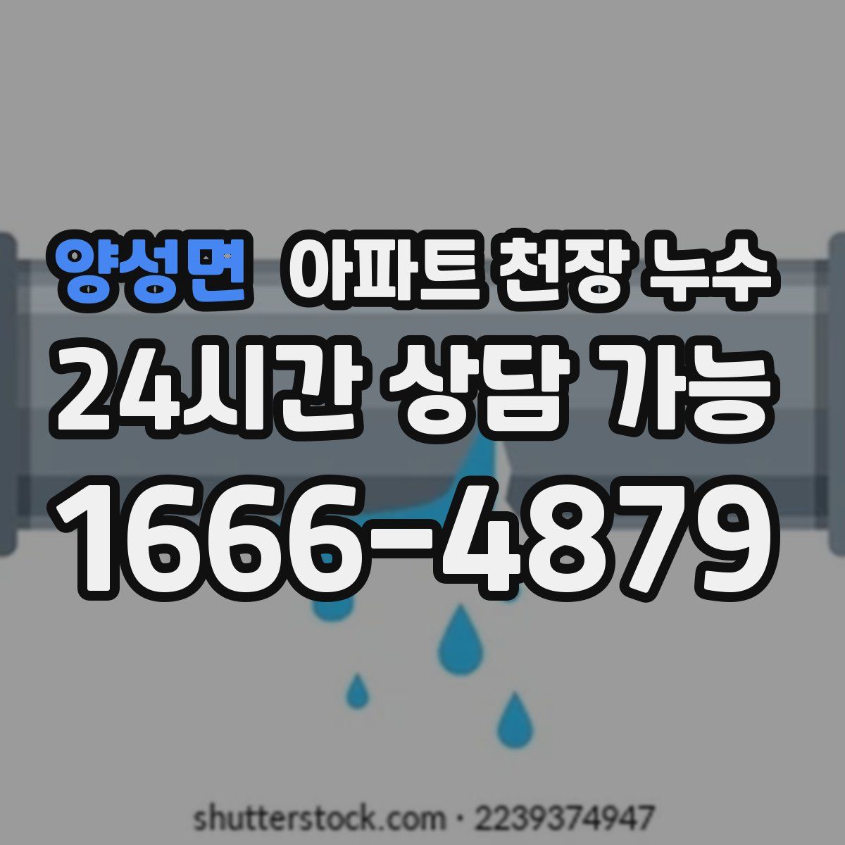 양성면 아파트 천장 누수