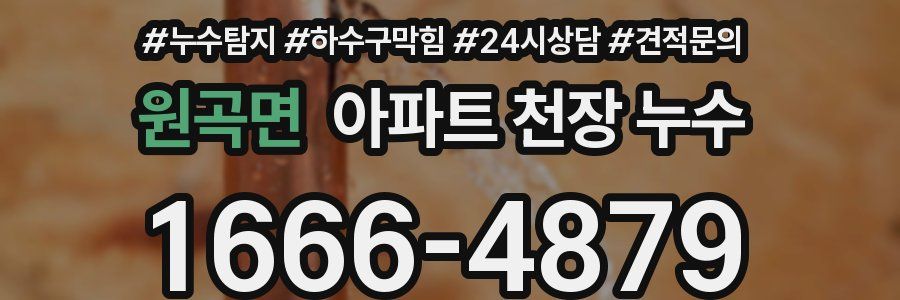 원곡면 아파트 천장 누수