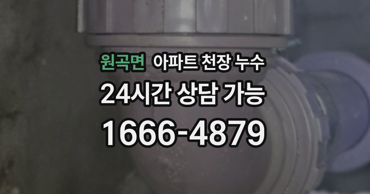 원곡면 아파트 천장 누수