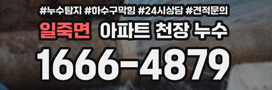 일죽면 아파트 천장 누수