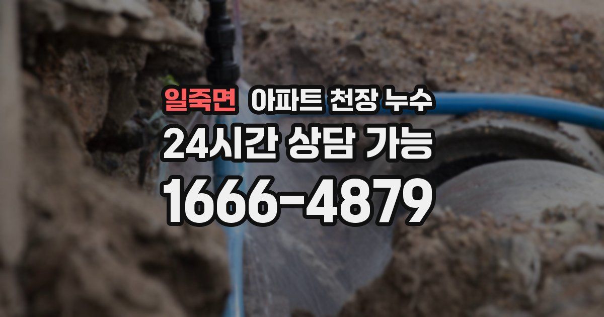 일죽면 아파트 천장 누수