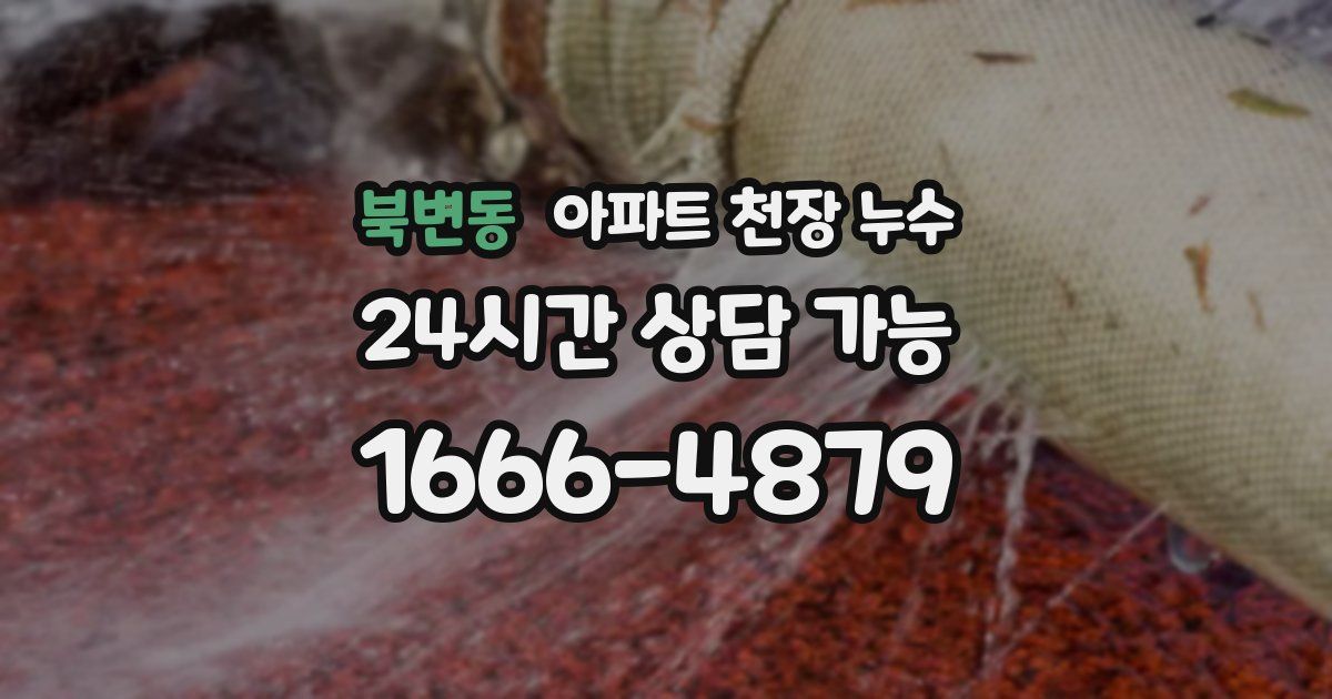 북변동 아파트 천장 누수