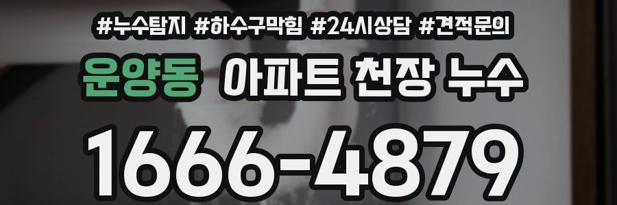 운양동 아파트 천장 누수