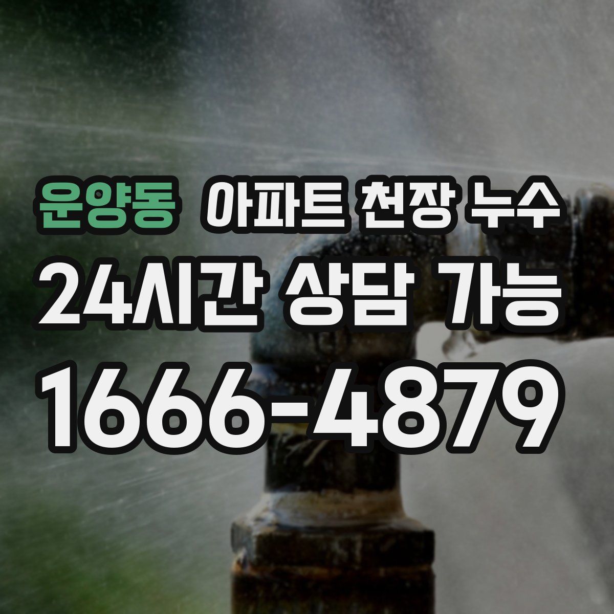 운양동 아파트 천장 누수