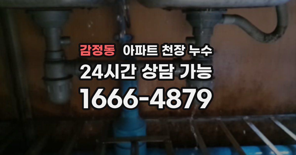 감정동 아파트 천장 누수