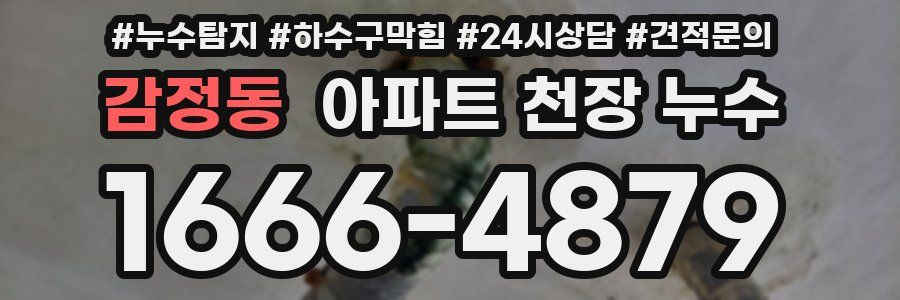 감정동 아파트 천장 누수