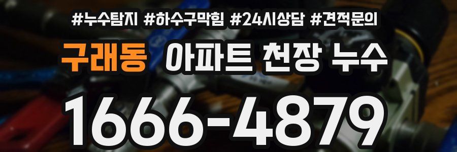 구래동 아파트 천장 누수