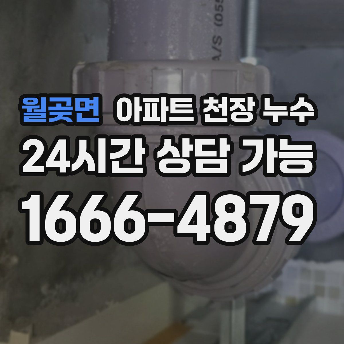 월곶면 아파트 천장 누수