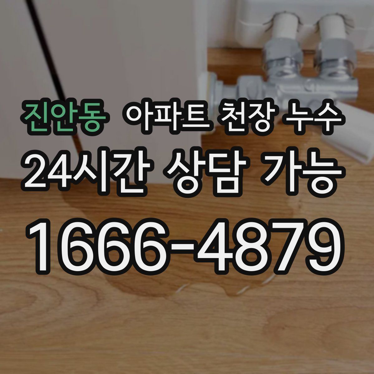 진안동 아파트 천장 누수