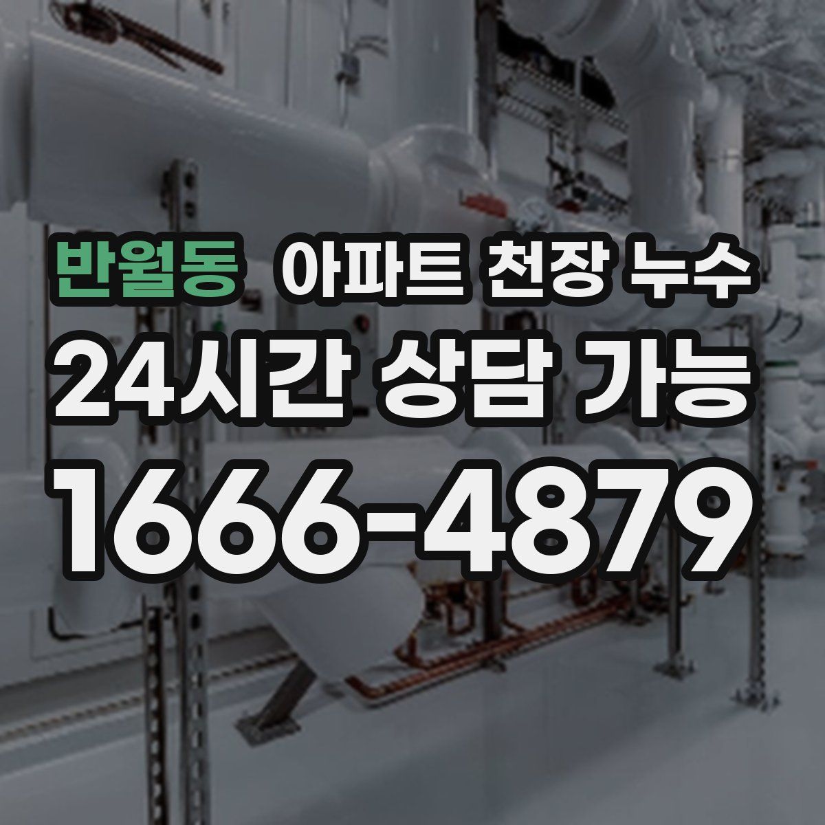 반월동 아파트 천장 누수
