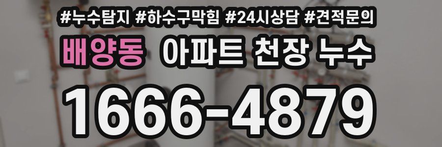 배양동 아파트 천장 누수