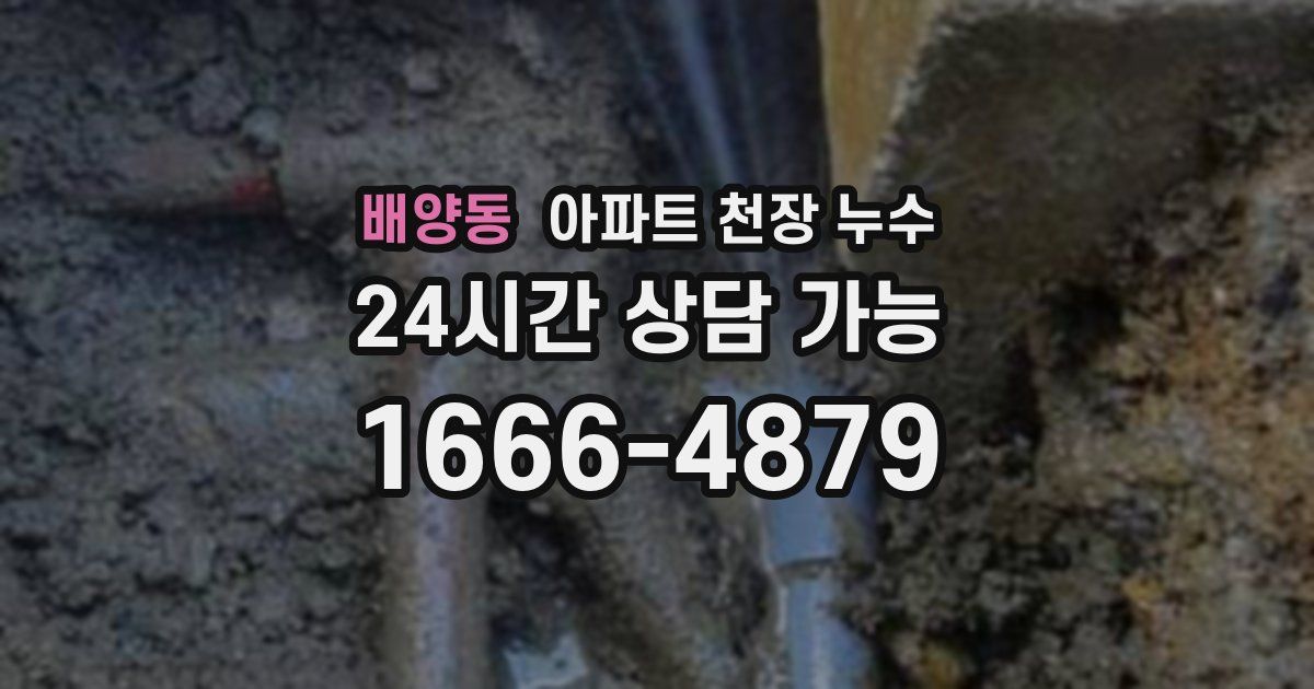 배양동 아파트 천장 누수