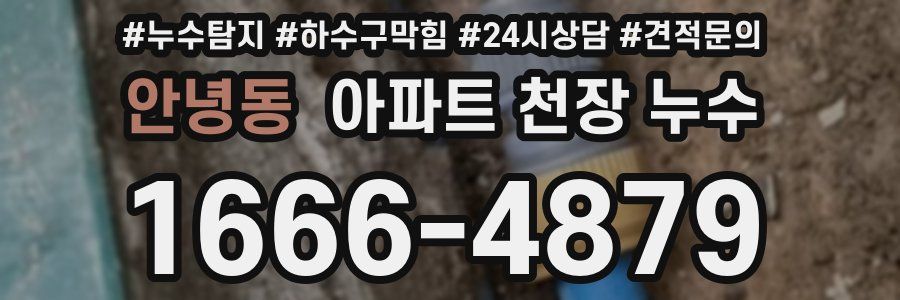 안녕동 아파트 천장 누수
