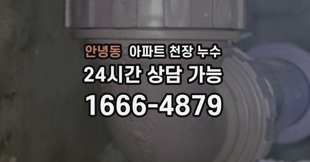 안녕동 아파트 천장 누수