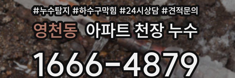 영천동 아파트 천장 누수