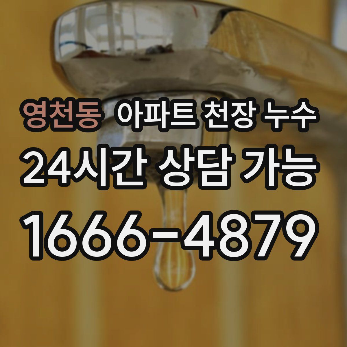 영천동 아파트 천장 누수