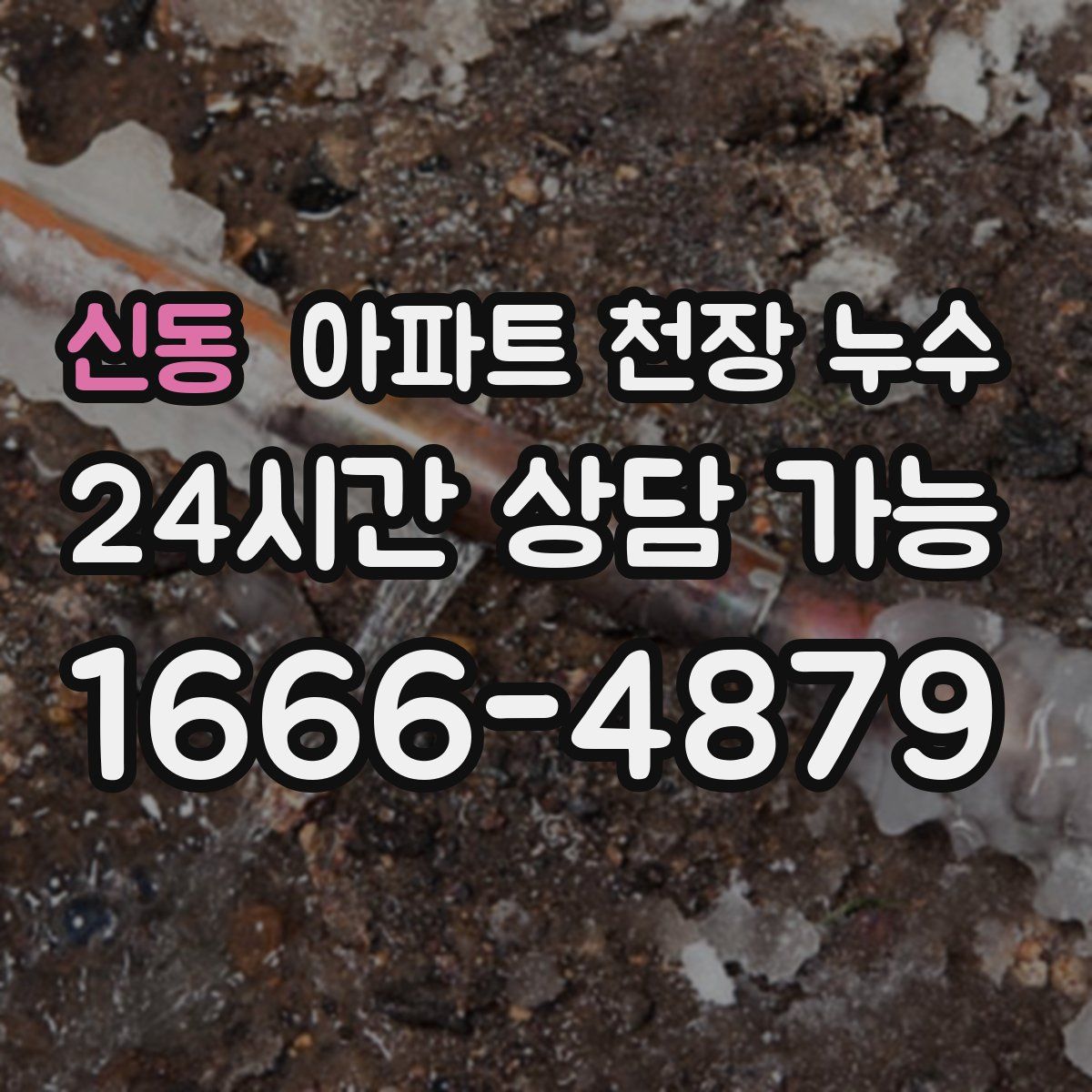 신동 아파트 천장 누수