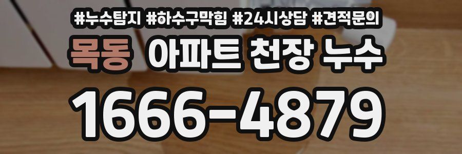 목동 아파트 천장 누수