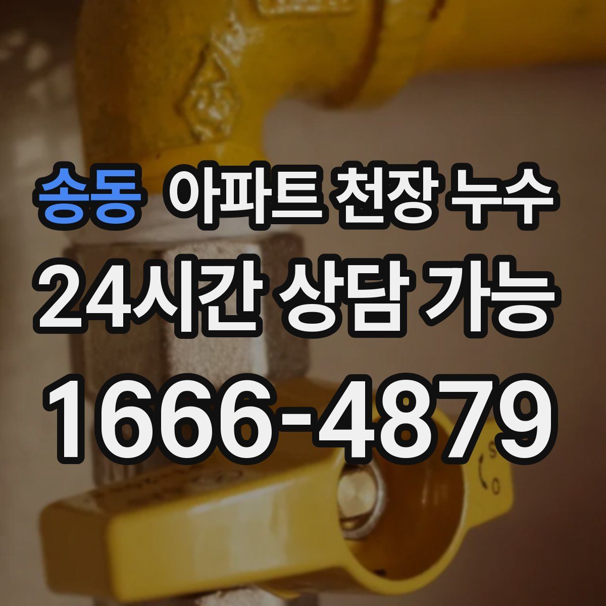 송동 아파트 천장 누수