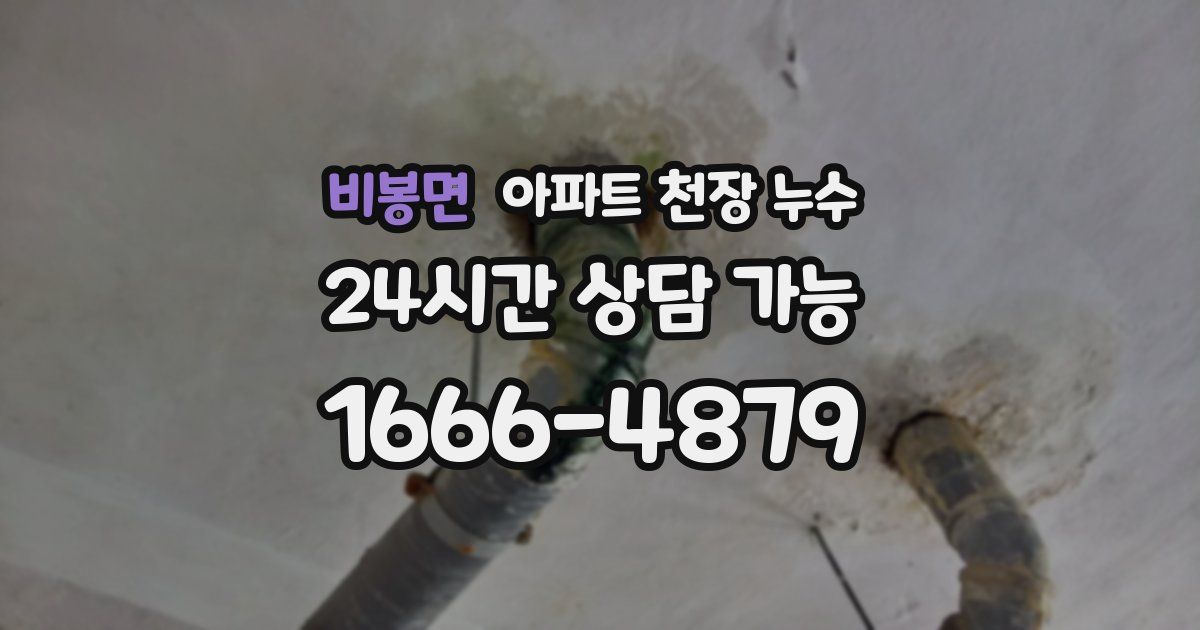 비봉면 아파트 천장 누수