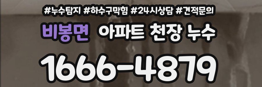 비봉면 아파트 천장 누수